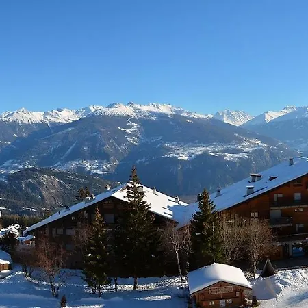 Mercure 501 * Anzère